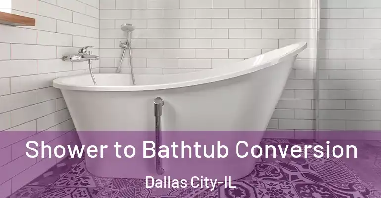 inner Bathroom imggen Shower to Bathtub Conversion Dallas City-IL