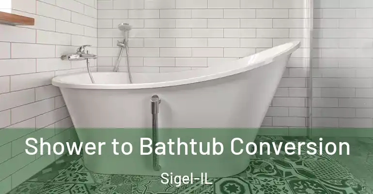 inner Bathroom imggen Shower to Bathtub Conversion Sigel-IL