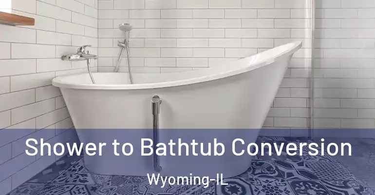 inner Bathroom imggen Shower to Bathtub Conversion Wyoming-IL
