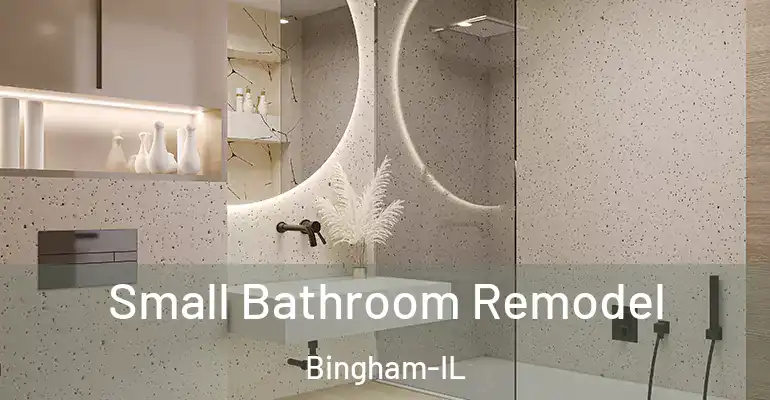 inner Bathroom imggen Small Bathroom Remodel Bingham-IL