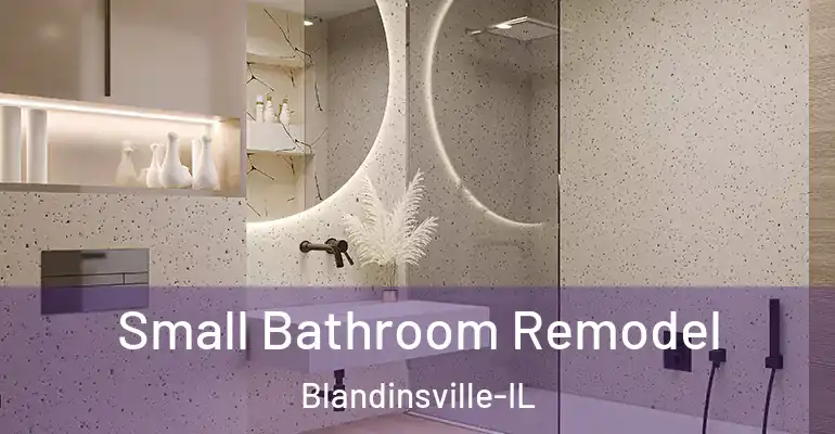 inner Bathroom imggen Small Bathroom Remodel Blandinsville-IL