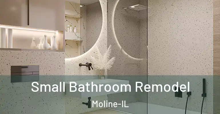 inner Bathroom imggen Small Bathroom Remodel Moline-IL