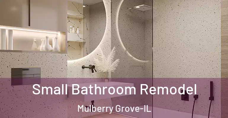 inner Bathroom imggen Small Bathroom Remodel Mulberry Grove-IL