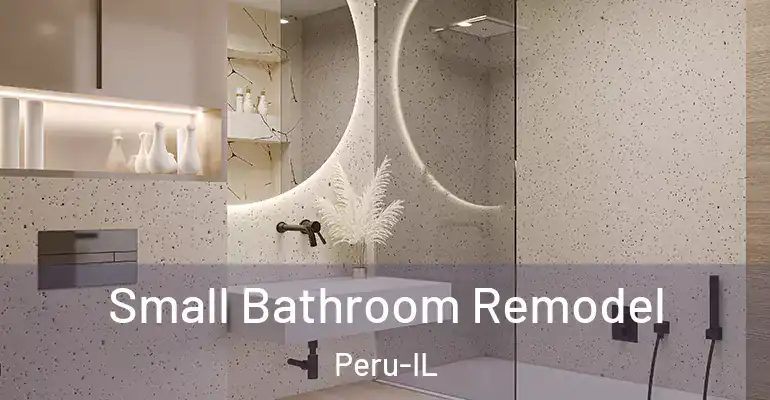 inner Bathroom imggen Small Bathroom Remodel Peru-IL