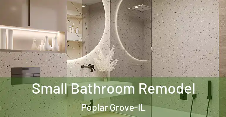inner Bathroom imggen Small Bathroom Remodel Poplar Grove-IL