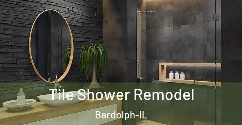 inner Bathroom imggen Tile Shower Remodel Bardolph-IL