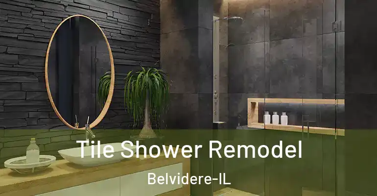 inner Bathroom imggen Tile Shower Remodel Belvidere-IL
