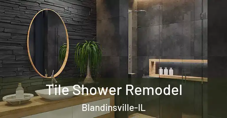 inner Bathroom imggen Tile Shower Remodel Blandinsville-IL
