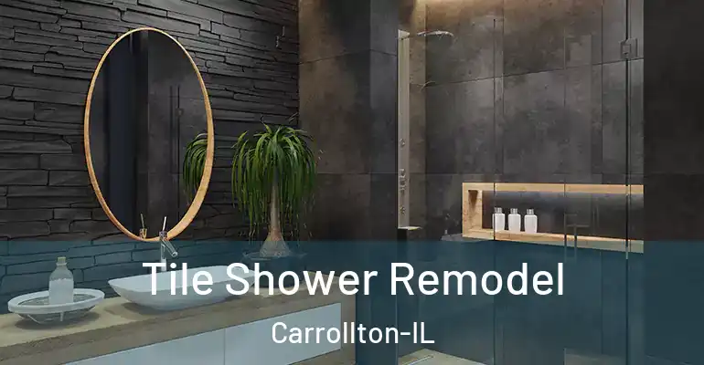 inner Bathroom imggen Tile Shower Remodel Carrollton-IL