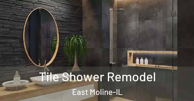 inner Bathroom imggen Tile Shower Remodel East Moline-IL