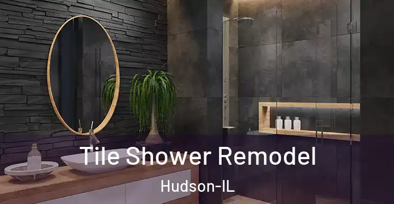 inner Bathroom imggen Tile Shower Remodel Hudson-IL