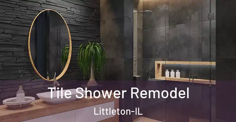 inner Bathroom imggen Tile Shower Remodel Littleton-IL