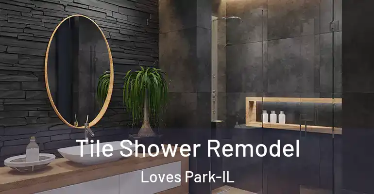 inner Bathroom imggen Tile Shower Remodel Loves Park-IL