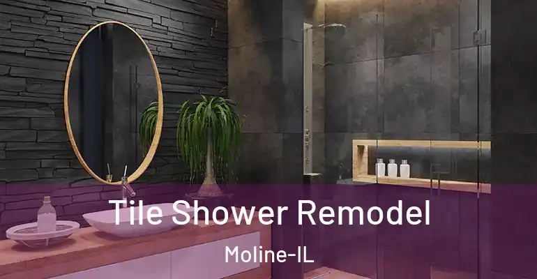 inner Bathroom imggen Tile Shower Remodel Moline-IL