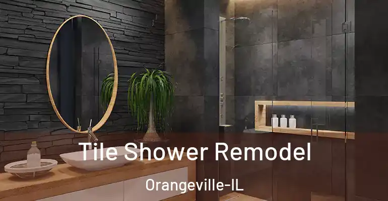 inner Bathroom imggen Tile Shower Remodel Orangeville-IL
