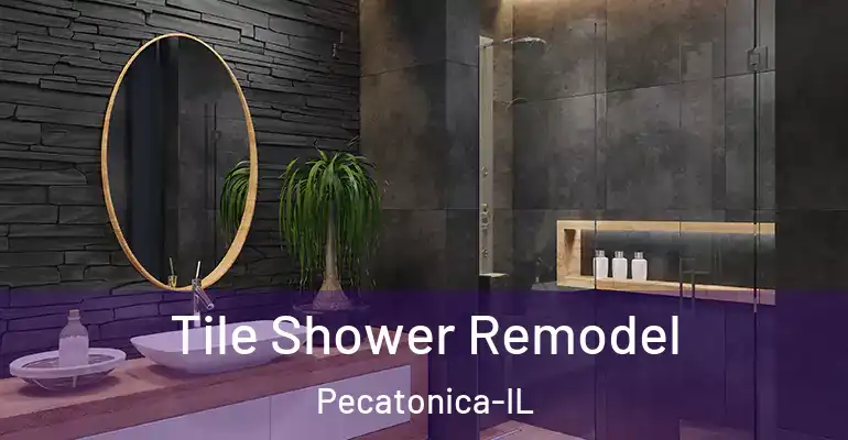 inner Bathroom imggen Tile Shower Remodel Pecatonica-IL