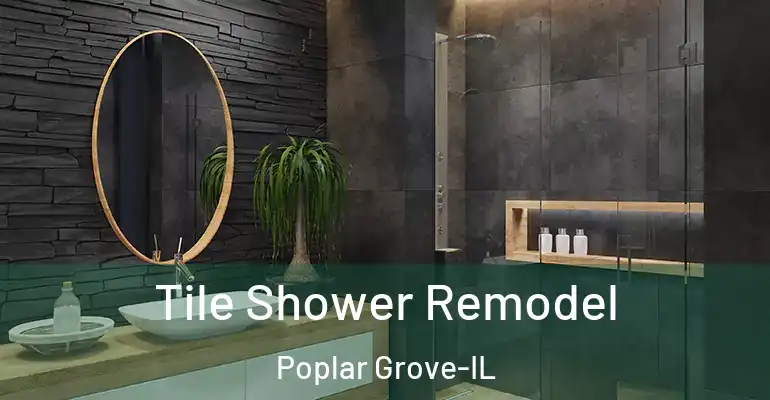 inner Bathroom imggen Tile Shower Remodel Poplar Grove-IL