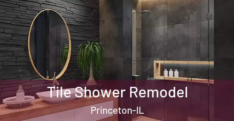 inner Bathroom imggen Tile Shower Remodel Princeton-IL