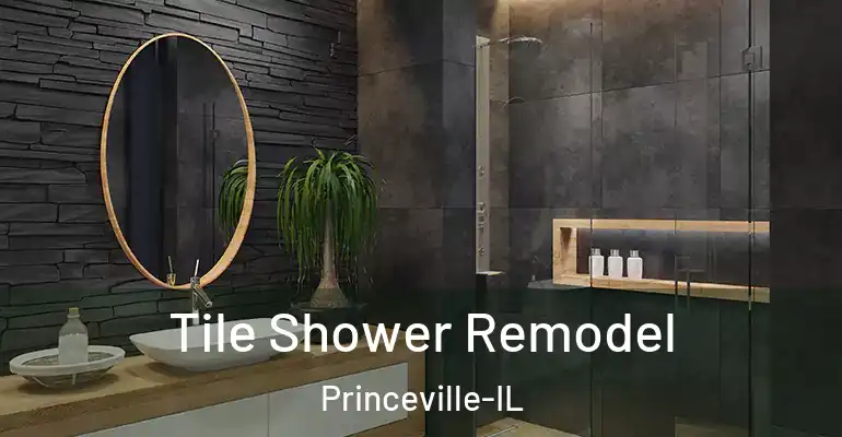 inner Bathroom imggen Tile Shower Remodel Princeville-IL