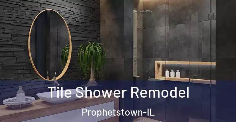 inner Bathroom imggen Tile Shower Remodel Prophetstown-IL