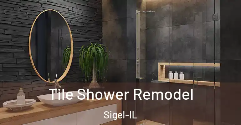 inner Bathroom imggen Tile Shower Remodel Sigel-IL