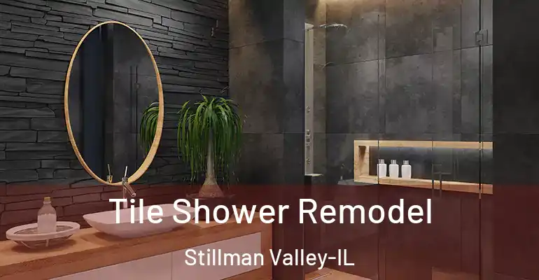 inner Bathroom imggen Tile Shower Remodel Stillman Valley-IL
