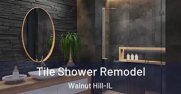 inner Bathroom imggen Tile Shower Remodel Walnut Hill-IL