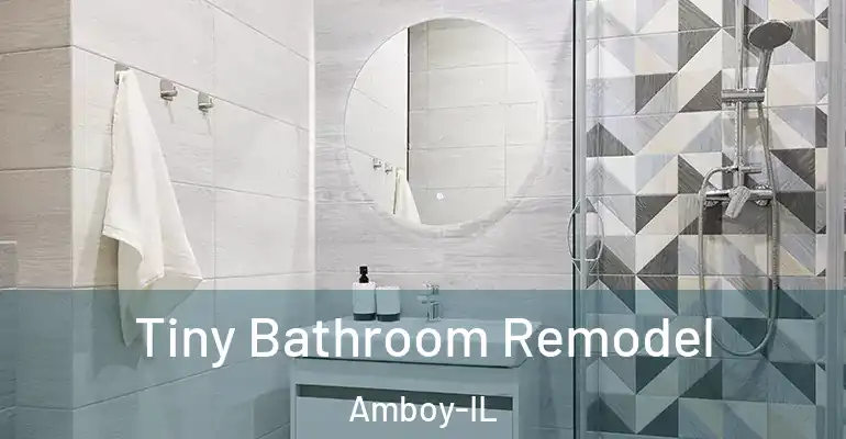 inner Bathroom imggen Tiny Bathroom Remodel Amboy-IL
