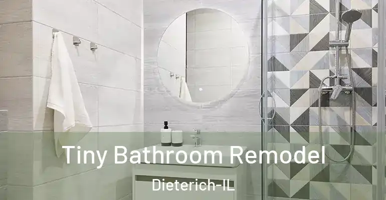 inner Bathroom imggen Tiny Bathroom Remodel Dieterich-IL