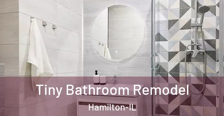 inner Bathroom imggen Tiny Bathroom Remodel Hamilton-IL