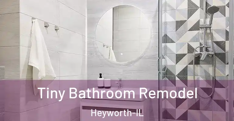 inner Bathroom imggen Tiny Bathroom Remodel Heyworth-IL