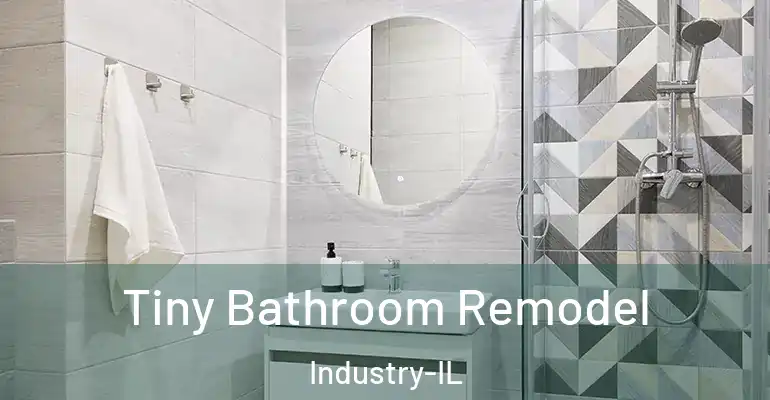 inner Bathroom imggen Tiny Bathroom Remodel Industry-IL