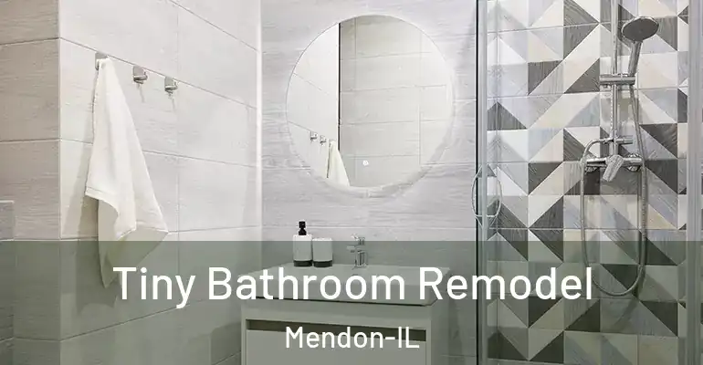 inner Bathroom imggen Tiny Bathroom Remodel Mendon-IL