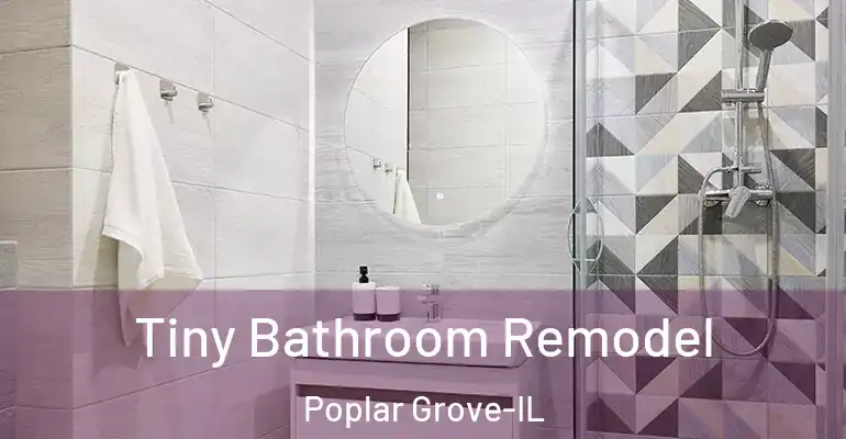 inner Bathroom imggen Tiny Bathroom Remodel Poplar Grove-IL