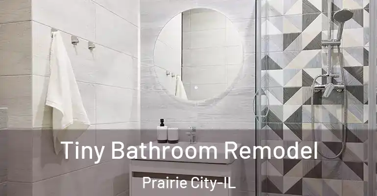 inner Bathroom imggen Tiny Bathroom Remodel Prairie City-IL