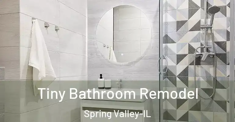 inner Bathroom imggen Tiny Bathroom Remodel Spring Valley-IL