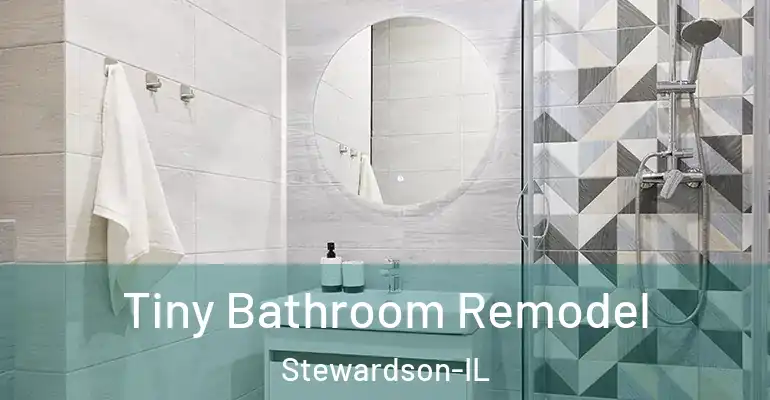 inner Bathroom imggen Tiny Bathroom Remodel Stewardson-IL