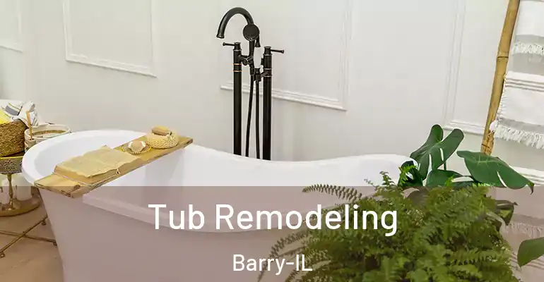inner Bathroom imggen Tub Remodeling Barry-IL