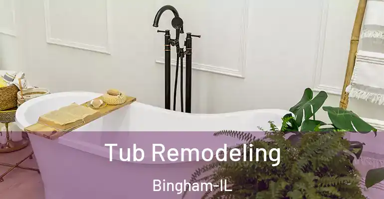 inner Bathroom imggen Tub Remodeling Bingham-IL