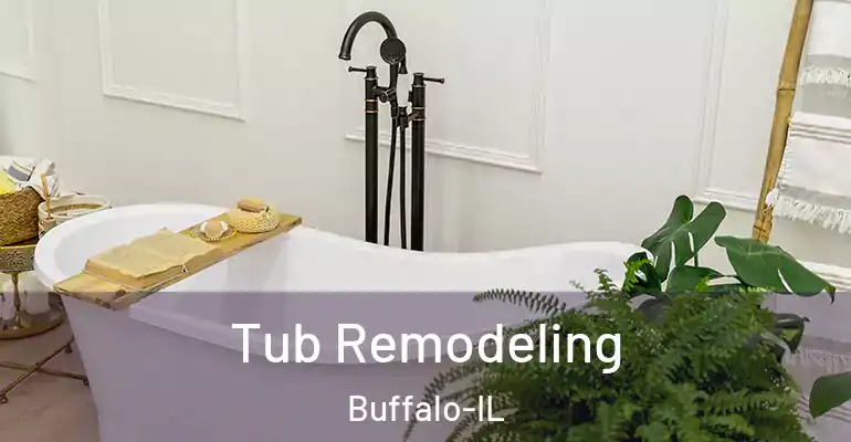 inner Bathroom imggen Tub Remodeling Buffalo-IL