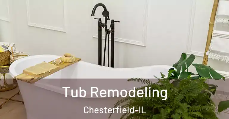 inner Bathroom imggen Tub Remodeling Chesterfield-IL