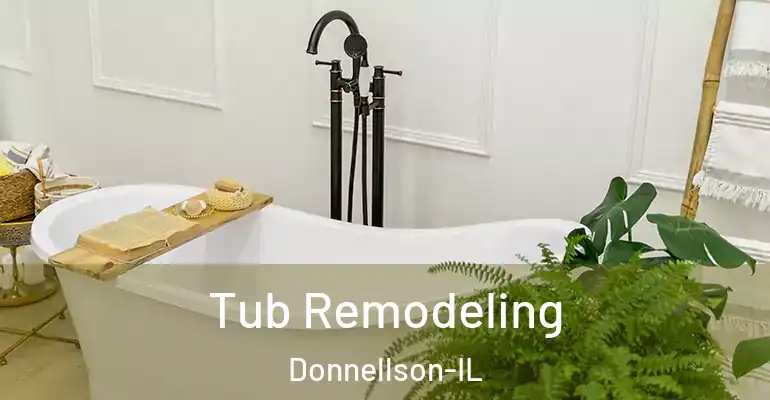 inner Bathroom imggen Tub Remodeling Donnellson-IL