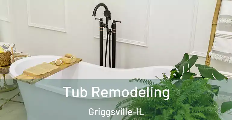 inner Bathroom imggen Tub Remodeling Griggsville-IL