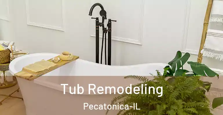 inner Bathroom imggen Tub Remodeling Pecatonica-IL