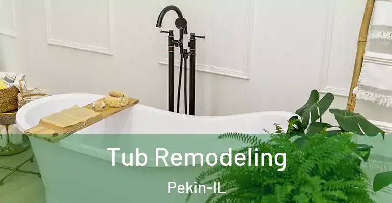 inner Bathroom imggen Tub Remodeling Pekin-IL