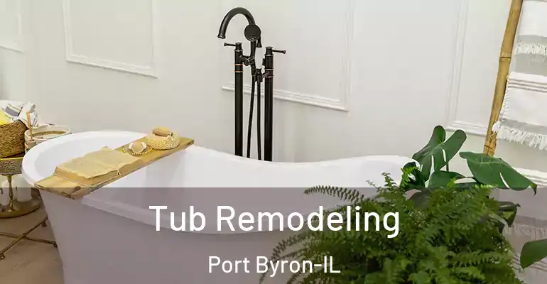 inner Bathroom imggen Tub Remodeling Port Byron-IL