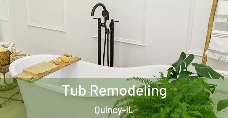 inner Bathroom imggen Tub Remodeling Quincy-IL
