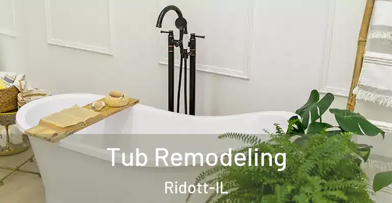 inner Bathroom imggen Tub Remodeling Ridott-IL