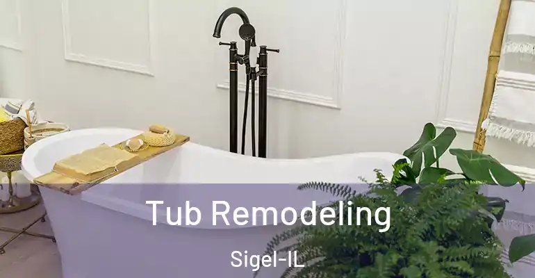 inner Bathroom imggen Tub Remodeling Sigel-IL