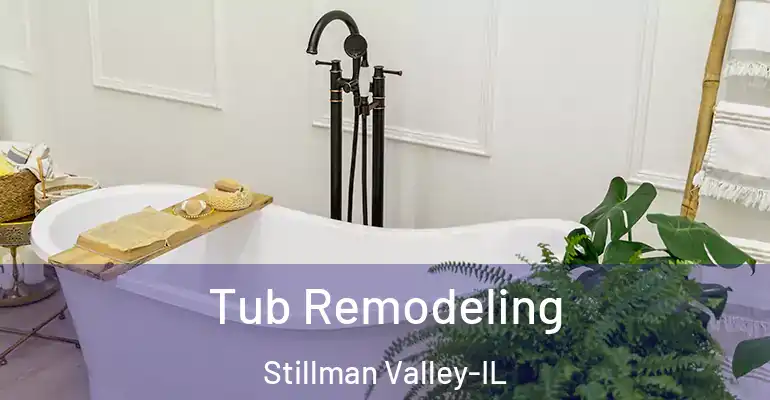 inner Bathroom imggen Tub Remodeling Stillman Valley-IL